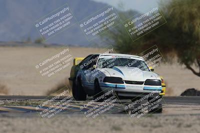 media/Oct-12-2025-Lucky Dog Racing (Sun) [[8adb5568ea]]/3-Third    Stint/4-Turn 4 (Tree of Life)/